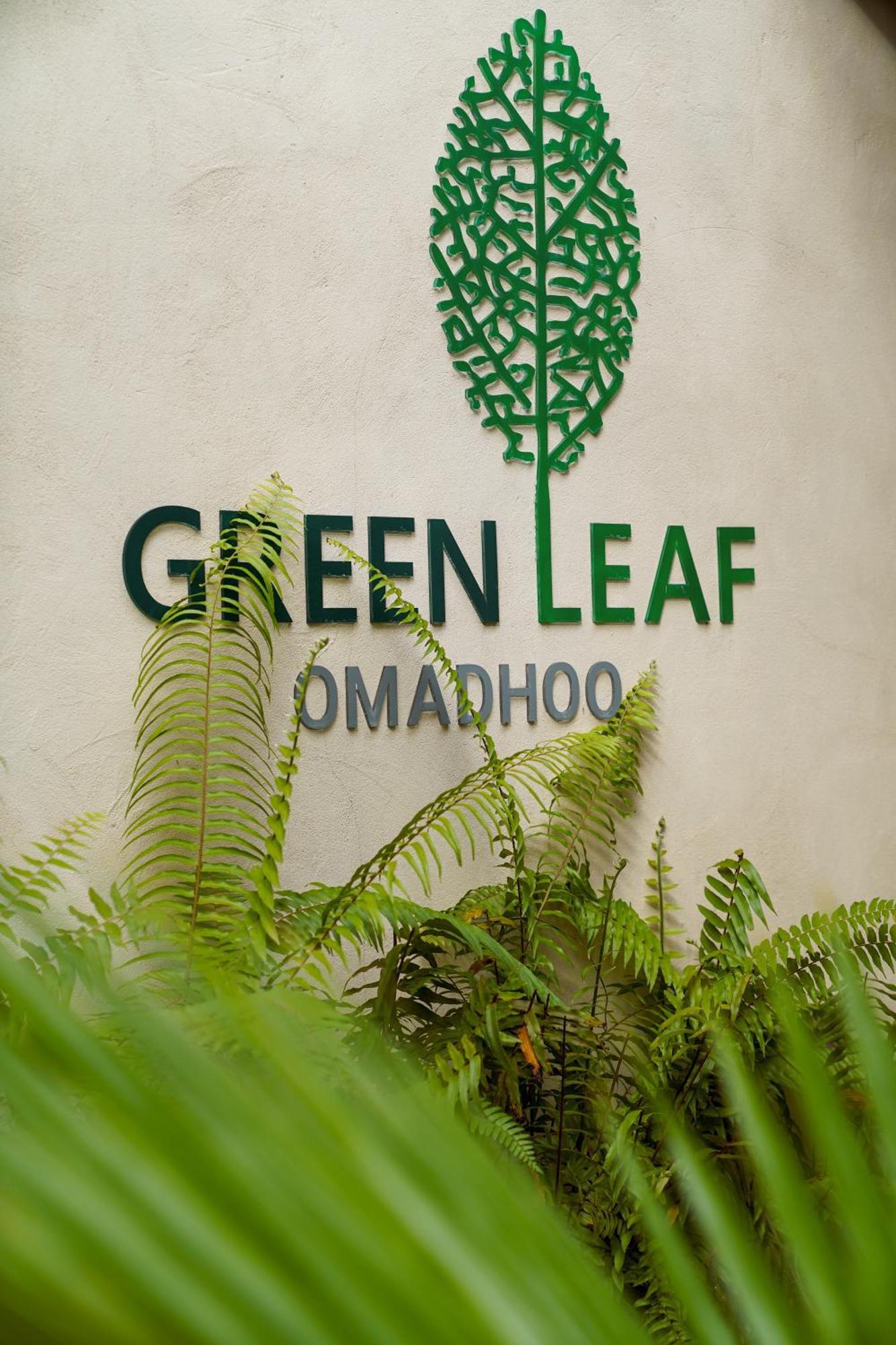 Green Leaf Guest House - Omadhoo Extérieur photo